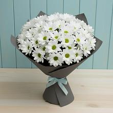 Букет цветов из:  Хризантемы #REPLACE_PRED# Парфентьево